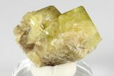 Lustrous, Yellow Topazolite Garnet - Mexico #188258-1